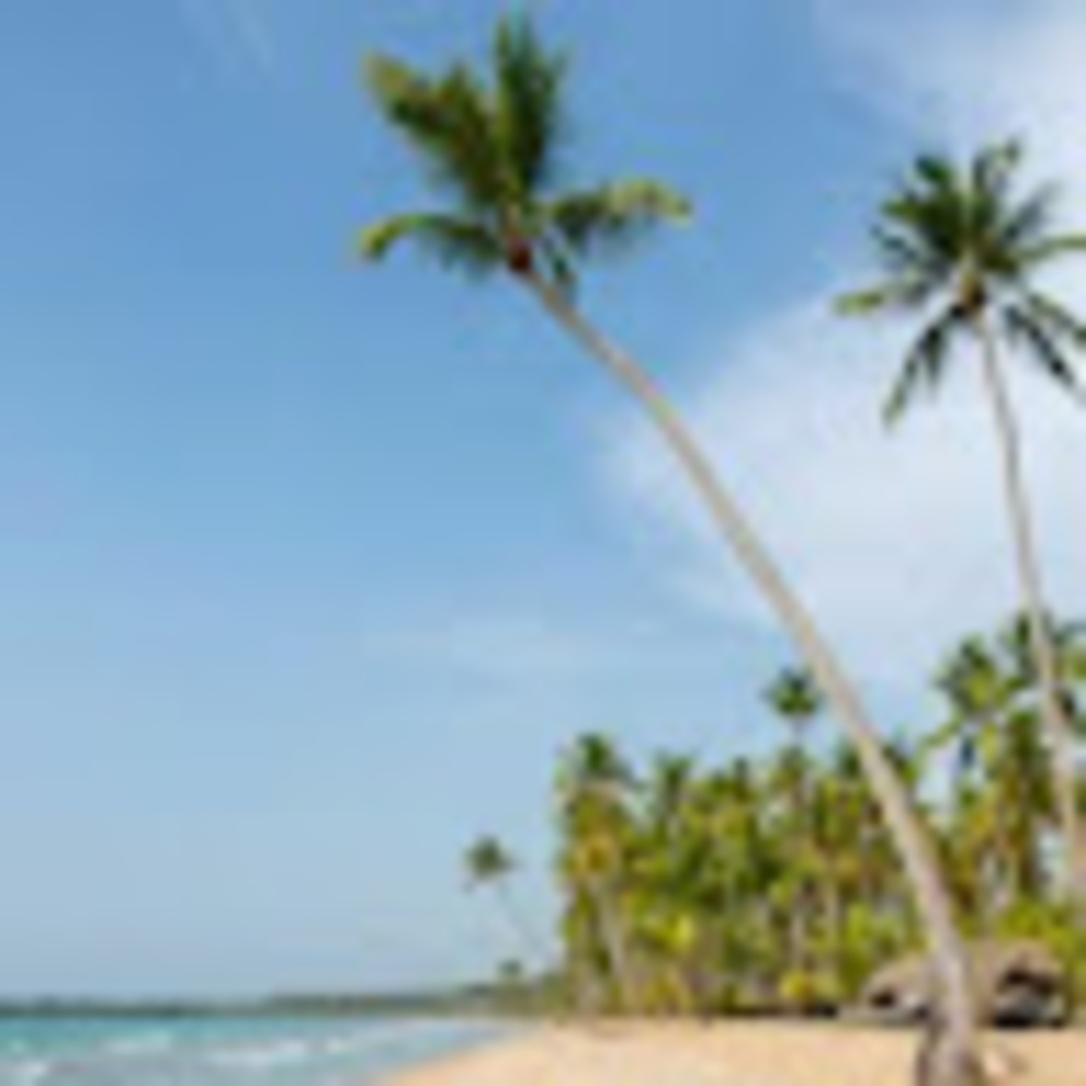 Meet your Posher, Juan